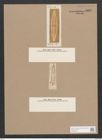 Navicula suberimposita [sic] A.Schum. (de-Toni-Nr.: Genus 1, Species 663) Zeichnungen Sammlung Grunow Nr. 1257 (NHMW-BOT-W0367901)